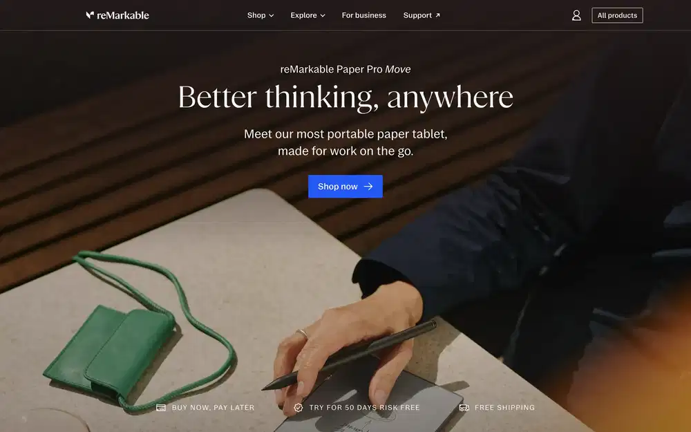 Website Example 12