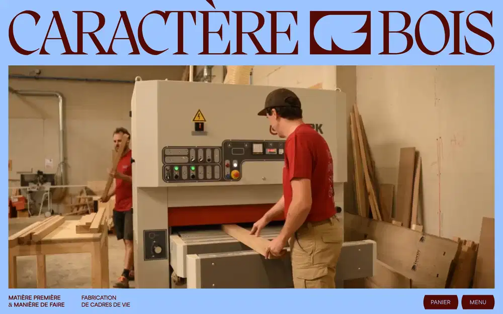Website Example 2