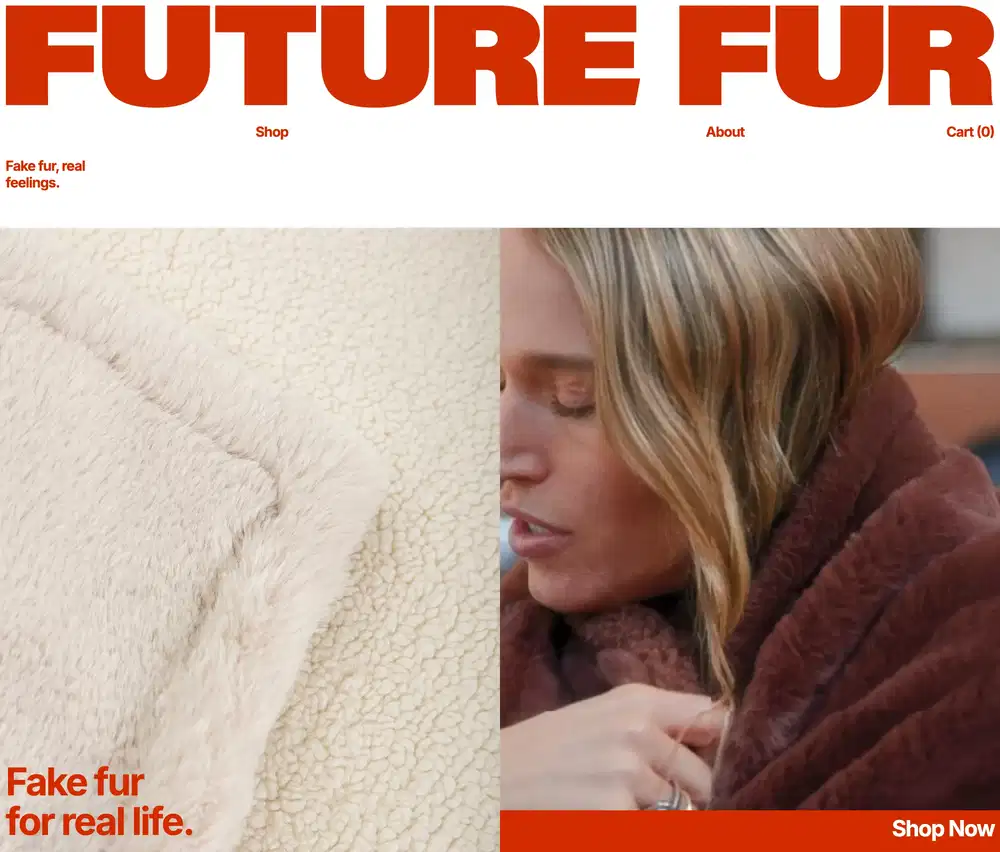 Website Example 3