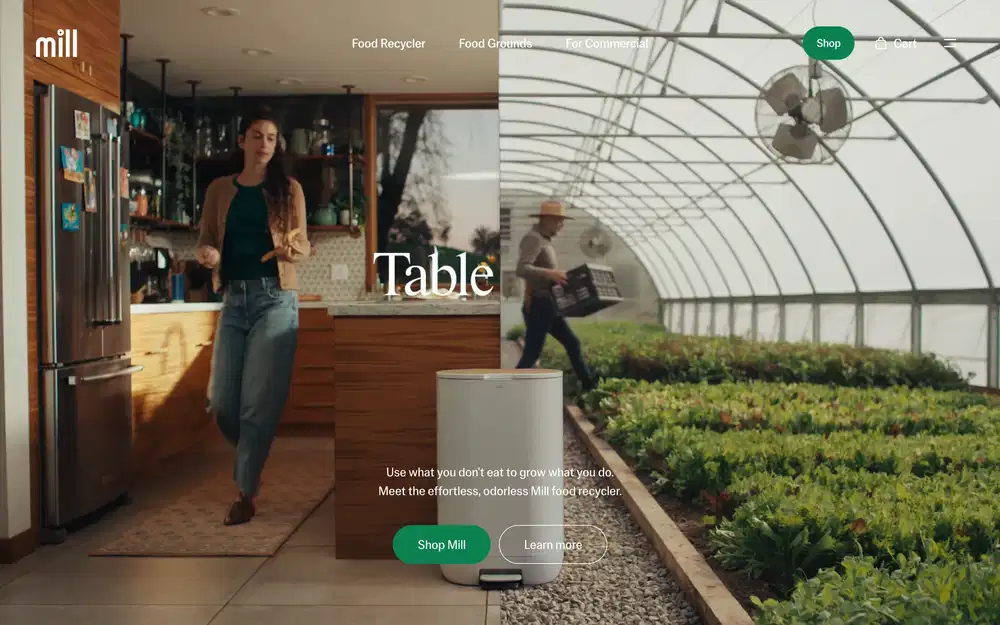 Website Example 7