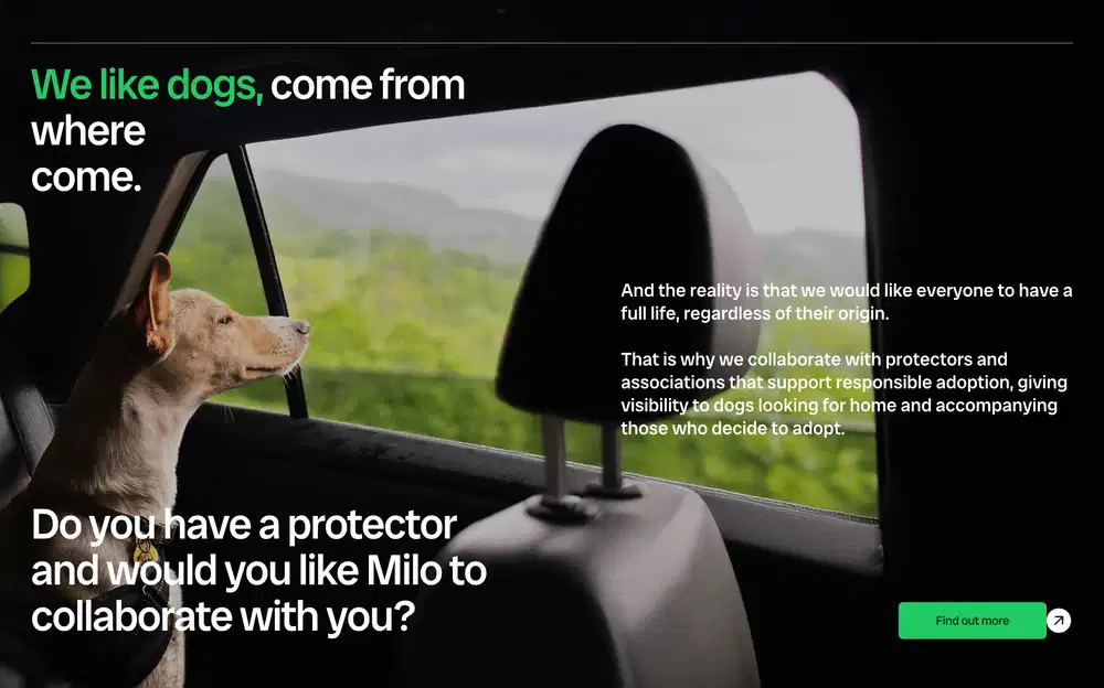 Website Example 8